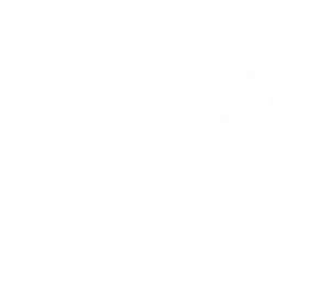 mammut logo